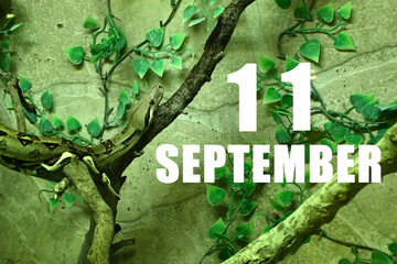 Calendar date on light green background with snake crawling on tree branch. September 11 is the eleventh  day of the month