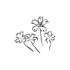 Four sketched wild flowers in black. Cute small flower illustration. Tattoo design example as vector in black and white. Hand drawn line art. 