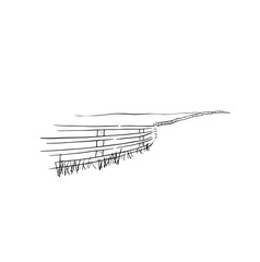 A very simple drawing of a fence between two fields drawn by hand in black and white. Doodle style. Quick sketch. Vector outdoors