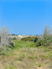 Beautiful nature and house for hunting in the distance in nature park Kamenjak in Medulin, Croatia