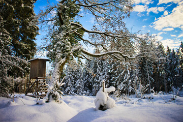 snowy forest with tall pines, blue sky, clouds, and a hunter observation post