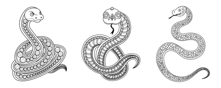 Three different drawings of a snake, each with a different design. The first one is a simple, straight line, the second one has a diamond pattern, and the third one has a more intricate design