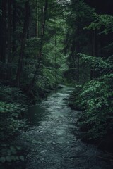 Obraz premium A slow-moving river through a dense, silent dark forest