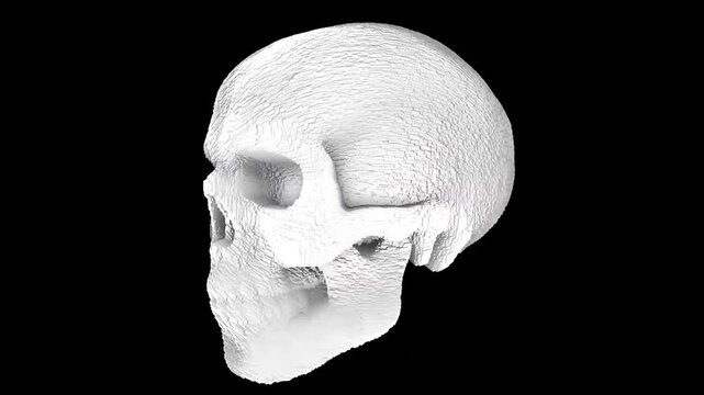 Spinning glitch skull 