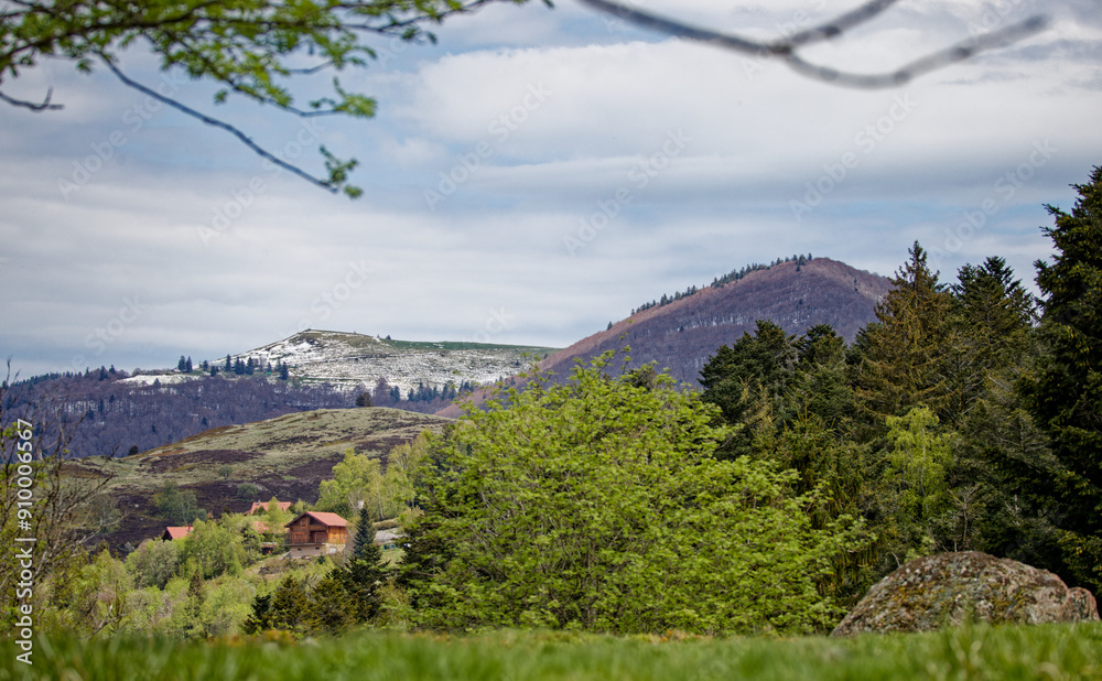 Canvas Prints Les Vosges au printemps