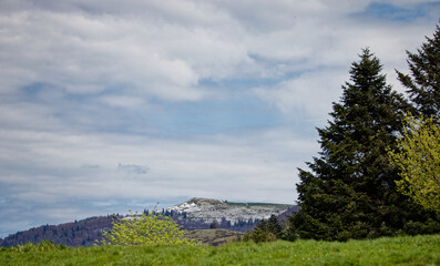 Obraz premium Les Vosges au printemps