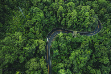 High angle view of winding road in green forest, green transportation and nature conservation.