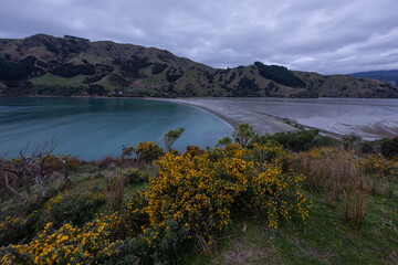 Fototapeta premium Cloudy afternoon sky over Cable Bay, New Zealand.