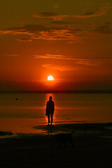 silhouette of a woman and a dog against the background of an orange sunset. freedom and airiness, beautiful in nature