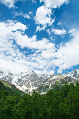 In sunny weather, green fields and snowy hills. Snowy mountain landscapes in spring in Svaneti.Magnificent mountain landscapes of Georgia.