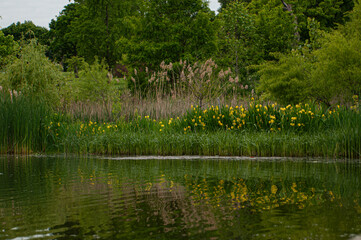 Patterson Park Baltimore Maryland