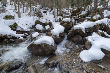 Flowing creek under the heavy snow