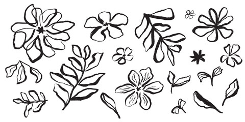 ack brush stroke flowers and leaves vector elements isolated on white. Simple hand drawn linear flowers set. Botanical illustration. Daisy hand painted clipart. Ink drawing wild plant herbs collection