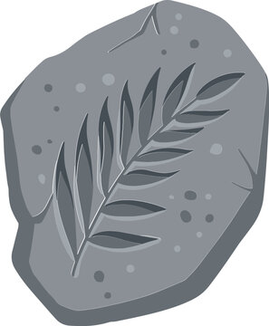 gray stone fossil leaf imprint clip art preview