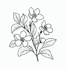 Simple hand drawn flowers outline drawing illustration