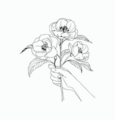 Obraz premium Simple hand drawn flowers outline drawing illustration