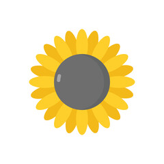 Sunflower vector icon