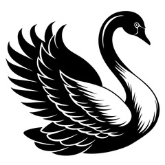 Fototapeta premium black swan on white silhouette