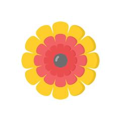 Calendula  vector icon
