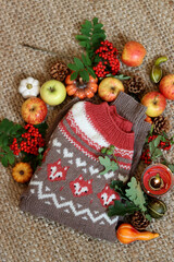 Autumn still life with knitted brown and red sweater, apples, berries and candle on sackcloth background. Autumn foxes knitted pattern close up photo. Warm and cozy handmade clothing. 