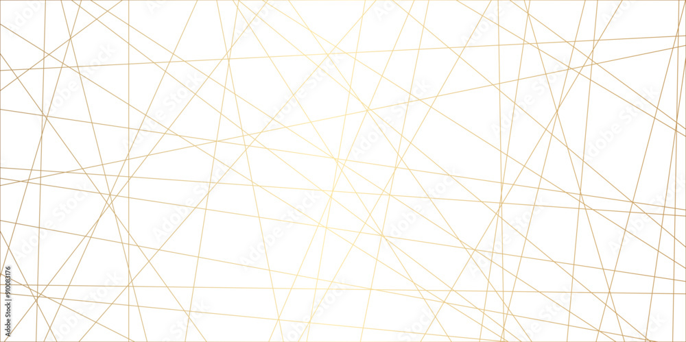 Wall mural abstract line background. abstract black lines with white background creative and geometric shape wi