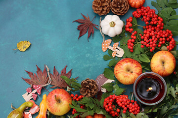 Fall season composition with pumpkins, apples and rowan on vibrant blue background with copy space. Eco friendly autumn decorations on a table. 