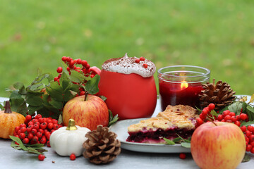 Homemade pie with berries and apples on a background of green grass. Thanksgiving dessert recipe. Autumn picnic in a garden. 