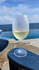 Glass of wine at the pool by the ocean