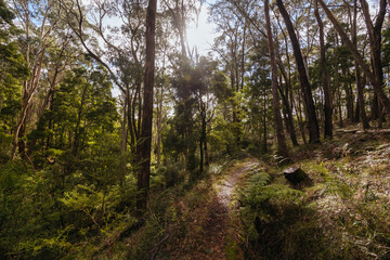 Lerderderg Heritage River Walk in Melbourne Australia