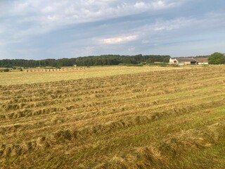 Champ agricole en cours de fauchage pour le foin