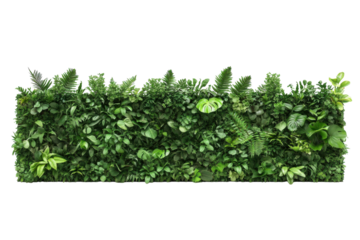 Sections of green vertical garden walls with various plants. PNG image