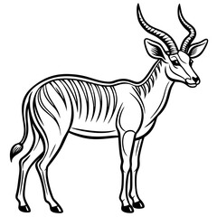 Antelope Line Art Vector Illustration