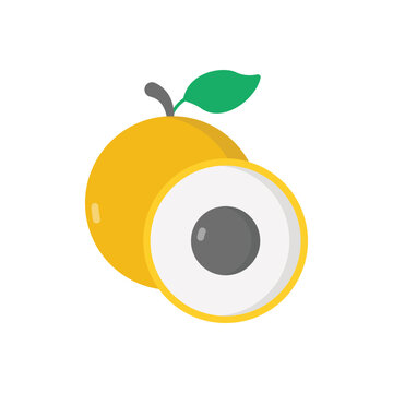 Longan vector icon