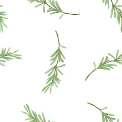 Watercolor seamless pattern with rosemary sprigs on a white background