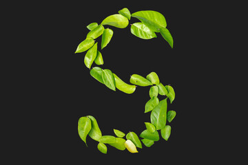 Explore the artistic potential of green and yellow leaves arranged to form letters. This natural, eco-conscious design highlights the vibrant beauty of foliage in a unique typographic composition