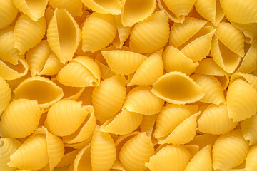 Conchiglie pasta spread out on a textured surface or background.