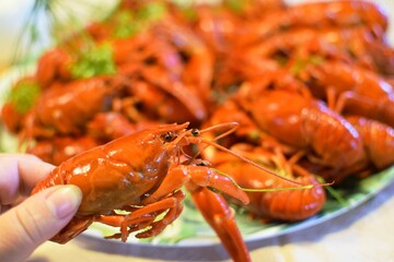 Beer-boiled crayfish festival in Sweden.