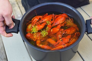 A man holds a pot of crayfish boiled in beer and dill at a crayfish party in Sweden
