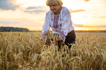 Woman in a wheat field wearing an embroidered shirt. Selective focus.