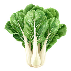 Fresh bok choy with lush green leaves and crisp white stems isolated on transparency PNG background, perfect for healthy cooking and adding a nutritious touch to various dishes.