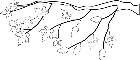 Obraz premium Leaf Branch Outline Element