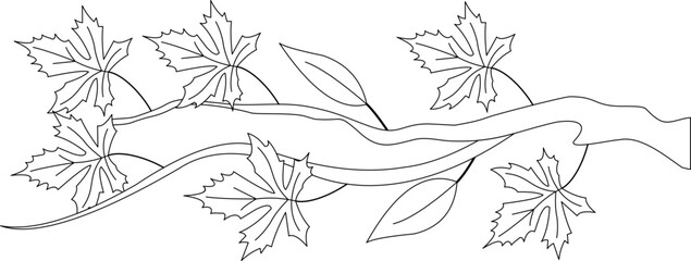 Leaf Branch Outline Element