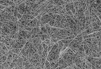 gray black and white nature background of autumn fallen pine needles and leaves in a fall season forest. natural backdrop for concept and design