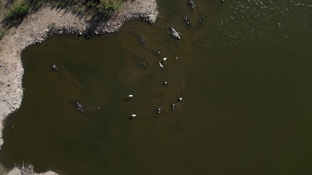 aerial view of Marjal dels Moros in Sagunt,Pucol, Valencia, Spain. Bird watching