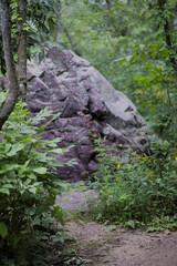 Boulder in the path forest