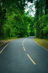 Obraz premium Empty curved concrete roadway winds through a green nature park with trees in the forest, Thailand. Vertical.