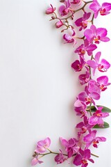 Fototapeta premium Thai Orchid Arrangements, border, background wallpaper, blank in the middle, minimalism, negative space, used for postcard template