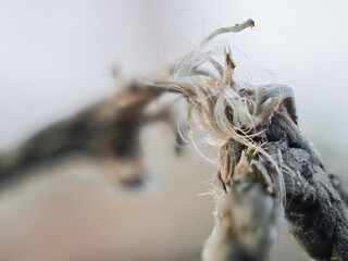 Old weathered nylon netting rope