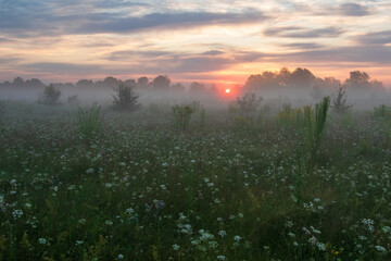 sunrise over the field