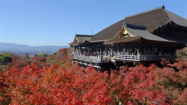 Autumn in Kyoto, Japan, locked-off shot showing the historic Kiyomizu-dera temple on a sunny day in the fall season.